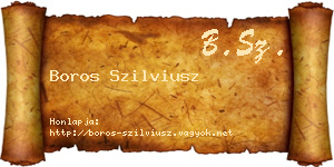 Boros Szilviusz névjegykártya